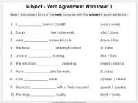 Subject - Verb Agreement - Worksheet