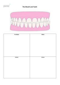 Mouth and Tooth Sheet