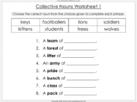 Collective Nouns - Worksheet