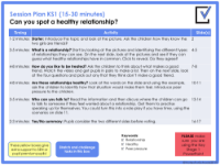 Healthy Relationships Lesson Plan