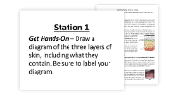 Integumentary System - 7 Engaging Lab Stations