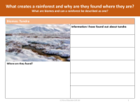 Biomes: Tundra fact file - Worksheet