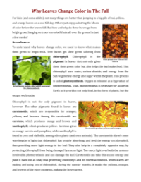 Why Leaves Change Color In The Fall - Reading with Comprehension Questions