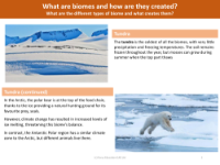 Tundra - Info sheet