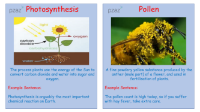 Plants - Keywords