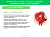 Issues with the heart - Info sheet