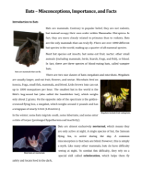 Bats - Reading with Comprehension Questions