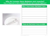 Foods I've chosen and avoided - Worksheet