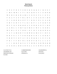 Word Search