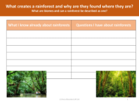 What I know about rainforests - Worksheet