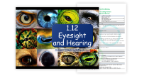 4. Eyesight and Hearing