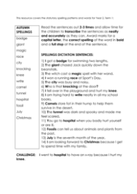 1st Grade Autumn Term Spellings - Worksheet