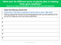 What do you know about pollination? - worksheet