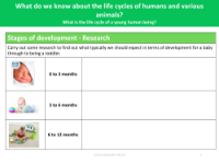Stages of development - Research - Worksheet - Changes as you grow - Year 5