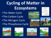 Cycling of Matter in Ecosystems - Teaching Presentation