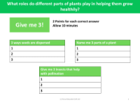 What part do different parts of plants play in helping them grow healthily? - Give me 3! - knowledge recap - worksheet