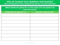 Good and bad foods - Worksheet