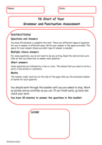 Start of Year Grammar and Punctuation Assessment Test