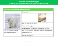 How do polar bears keep warm? - Activity - Year 1