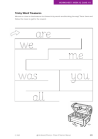 Tricky Word Treasures  - Worksheet 