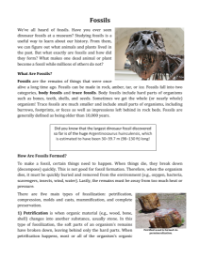 Fossils - Reading with Comprehension Questions