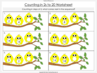 Counting in 2s to 20 - Worksheet