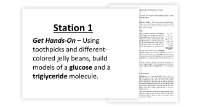 Carbohydrates and Lipids - 7 Engaging Lab Stations