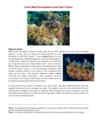 Coral Reef Ecosystems and their Future - Reading with Comprehension Questions