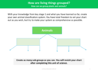 Flow Chart - Worksheet - Year 4