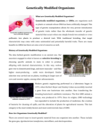 Genetically Modified Organisms - Reading with Comprehension Questions 2