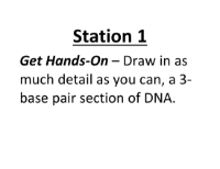 Lab Station Cards