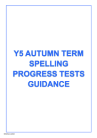 Autumn Term Spelling Progress Tests Guidance