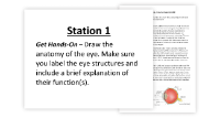 The Human Eye - 7 Engaging Lab Stations