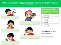 The Senses  - Assessment for learning activity