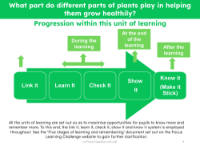 progression pedagogy - Plants - Year
