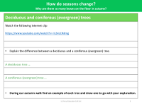 Deciduous and coniferous (evergreen) trees - Worksheet - Year 1