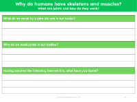 What are joints and how do they work? - Worksheet