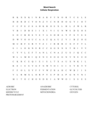 Word Search