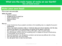 Make your own fossil - Instructions