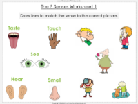 The 5 Senses - Worksheet