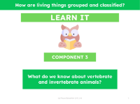 What do we know about vertebrate and invertebrate animals? - Presentation