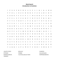 Word Search