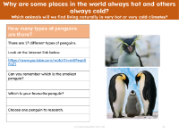 Penguins - Questions