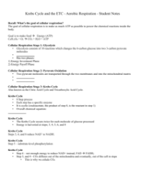 Krebs Cycle - Student Lesson Outline