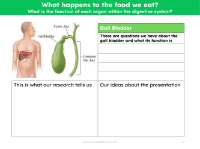 Gall bladder - Research sheet