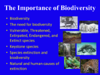 Biodiversity - Teaching Presentation