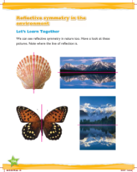 Learn together, Reflective symmetry in the environment
