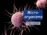 Microorganisms - Presentation