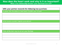 Pulses - Research worksheet