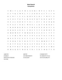 Word Search